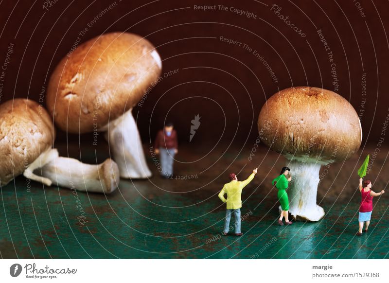 Miniwelten - Mushroom Worlds Food Nutrition Organic produce Vegetarian diet Human being Masculine Feminine Woman Adults Man 4 Plant Tree Wait Brown