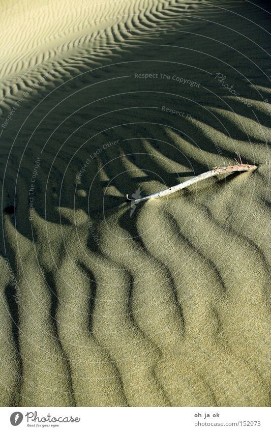 if your fond of sand dunes Desert Dune Sand Beach Gran Canaria Pattern Soul Structures and shapes Abstract Furrow Hot Death