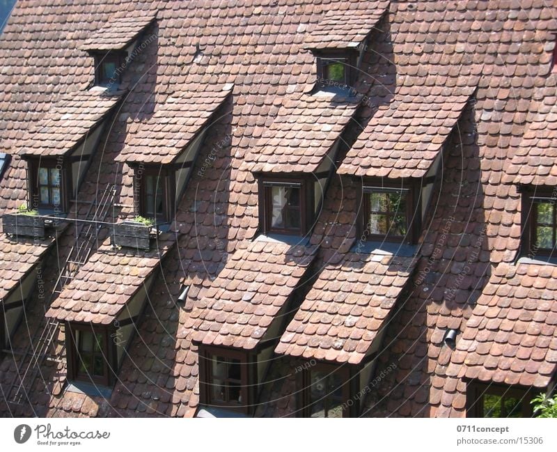 outlook Window Roof Historic Half-timbered facade Brick Stuttgart Architecture roofing orchard