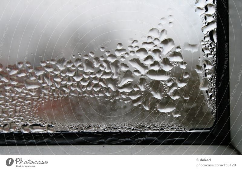 window corner Water Window Dirty Cold Window pane Frozen Dew Bubble Corner Glass At right angles Reflection Drops of water Wet Deserted Window frame