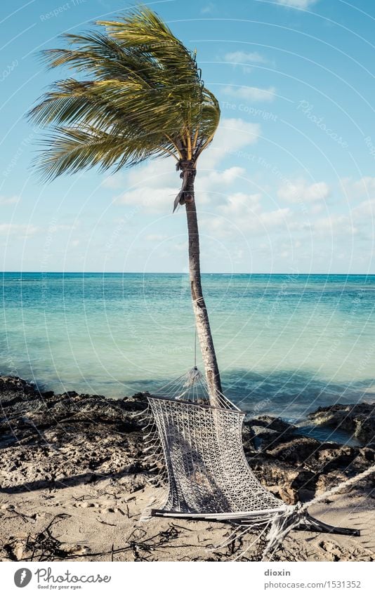 Perfect place to blue out. Well-being Relaxation Calm Vacation & Travel Tourism Far-off places Freedom Summer Summer vacation Sun Sunbathing Beach Ocean Island