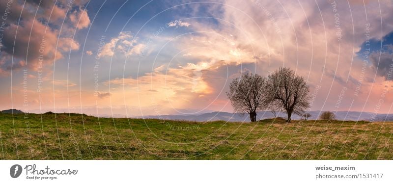 Sunny spring evening. April mountain sunset in Carpathians Beautiful Vacation & Travel Summer Mountain Nature Landscape Sky Clouds Spring Tree Meadow Forest