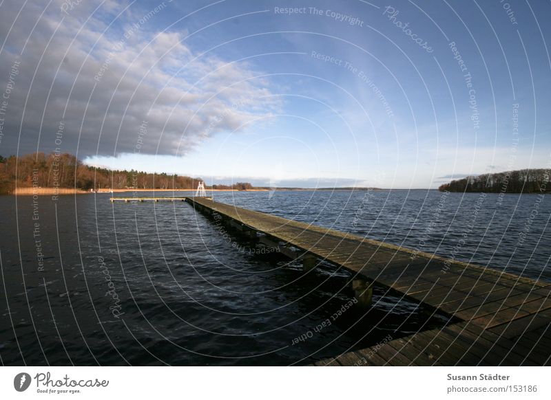 Mecklenburg vastness Footbridge Water Ocean Watercraft Wood Jump Lake Mecklenburg-Western Pomerania Lake-plateau Tree Sky Winter Fish