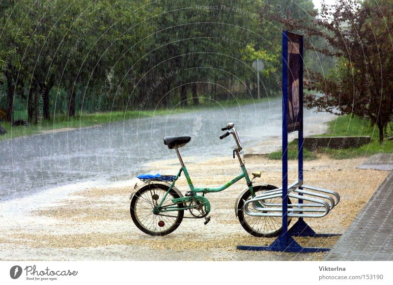 rain wheel Rain Wet Pillar Street Puddle Summer Autumn Thunder and lightning Folding bicycle Lanes & trails Tree Fresh Narrow Water Bicycle advertising board