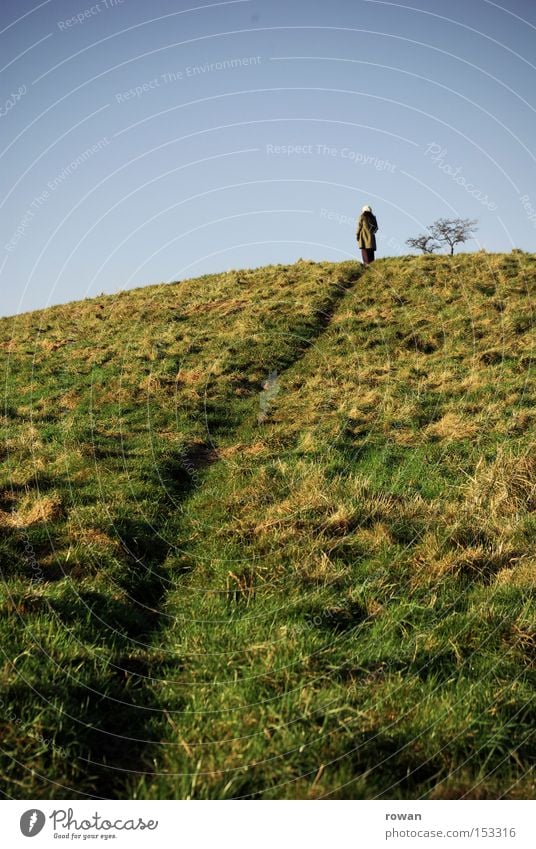 hikers 3 Tree Hill Hiking Lanes & trails Landscape Footpath To go for a walk Novella Fairy tale Mountain Tracks hilltop