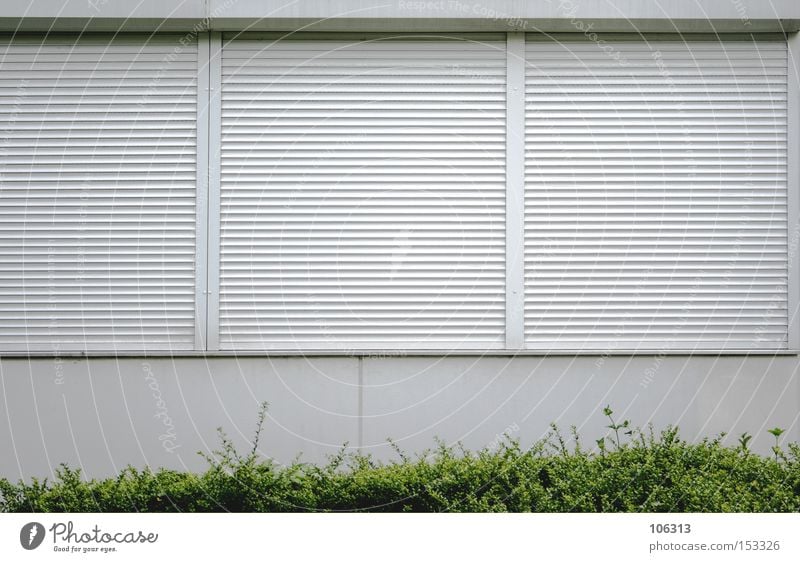 Photo number 107005 Gastronomy Plant Bushes Meadow Town House (Residential Structure) Detached house Window Dark Bright Green White Curiosity Homesickness