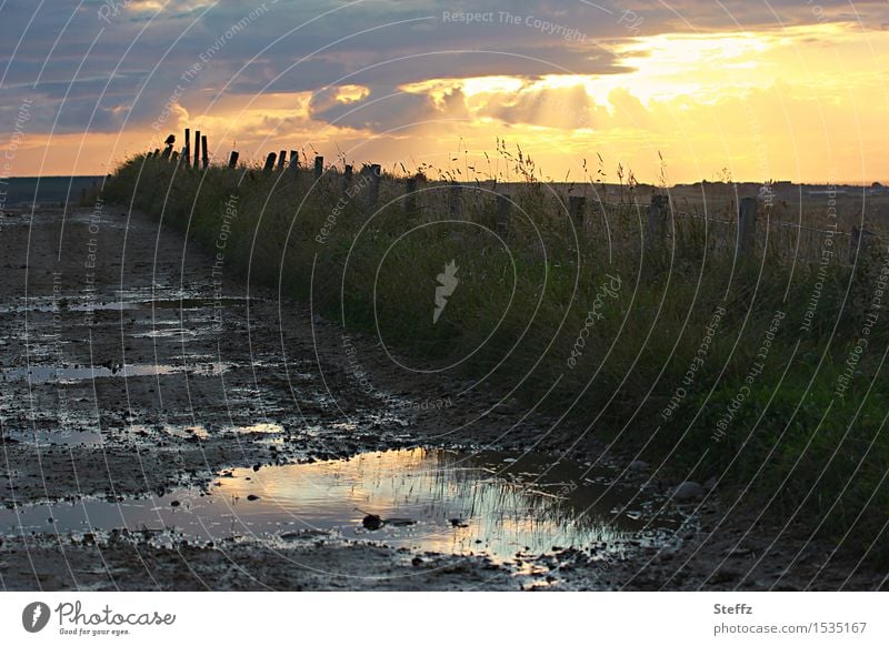 Don't go the puddle road alone. Hallowe'en Eerie ghostly Scotland Scottish countryside lonelier away lonely region Nordic Nordic romanticism Footpath Dark