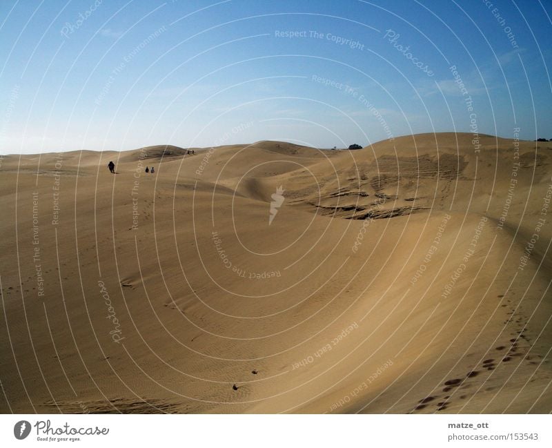 Nothing but sand Sand Desert Dune Beach dune Summer Warmth Sky Gran Canaria Vacation & Travel Africa Earth