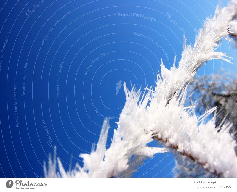 Ice crystals 03 Winter Cold Frozen Horizon Vacation & Travel Winter vacation Winter mood Ice age Seasons Impression Degrees Celsius Empty Under Dangerous