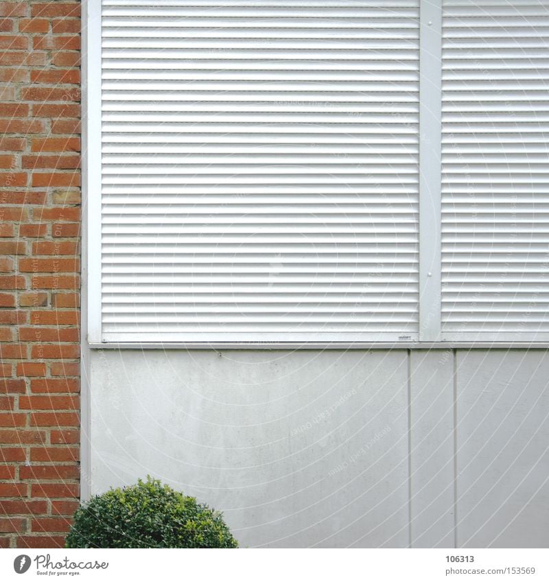 Photo number 107132 Window Roller shutter Roller blind Wall (building) Tree Little tree Bushes Foliage plant Composing Brick Part Industry