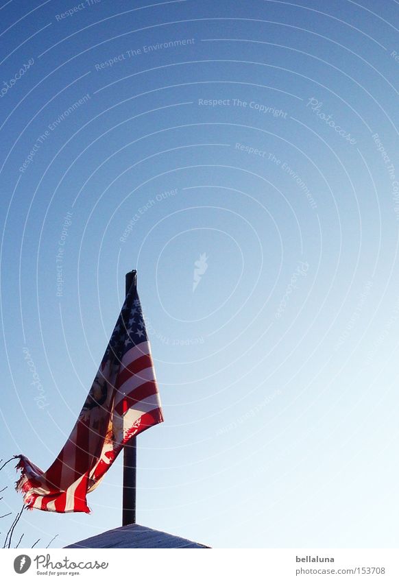 fly the flag Sky Roof Flag Blue Red White Americas USA American Flag Colour photo Multicoloured Exterior shot Morning Day Blue sky Cloudless sky Copy Space top