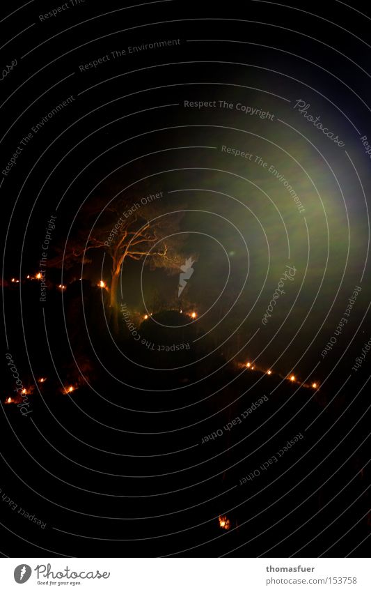 single tree at night with fires in the mountains Night Eerie Mystic Fairy tale Threat Ritual Procession Light (Natural Phenomenon) Sea of light Fairy lights