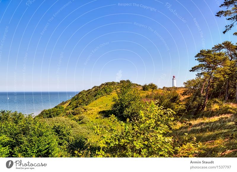 Hiddensee with lighthouse Harmonious Contentment Relaxation Vacation & Travel Tourism Trip Far-off places Summer vacation Island Nature Landscape Cloudless sky