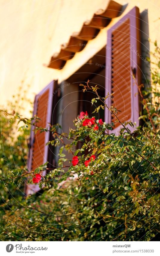 Window with red. Art Work of art Esthetic View from a window Window pane Shutter Window transom and mullion Window frame Glazed facade Overgrown Mediterranean