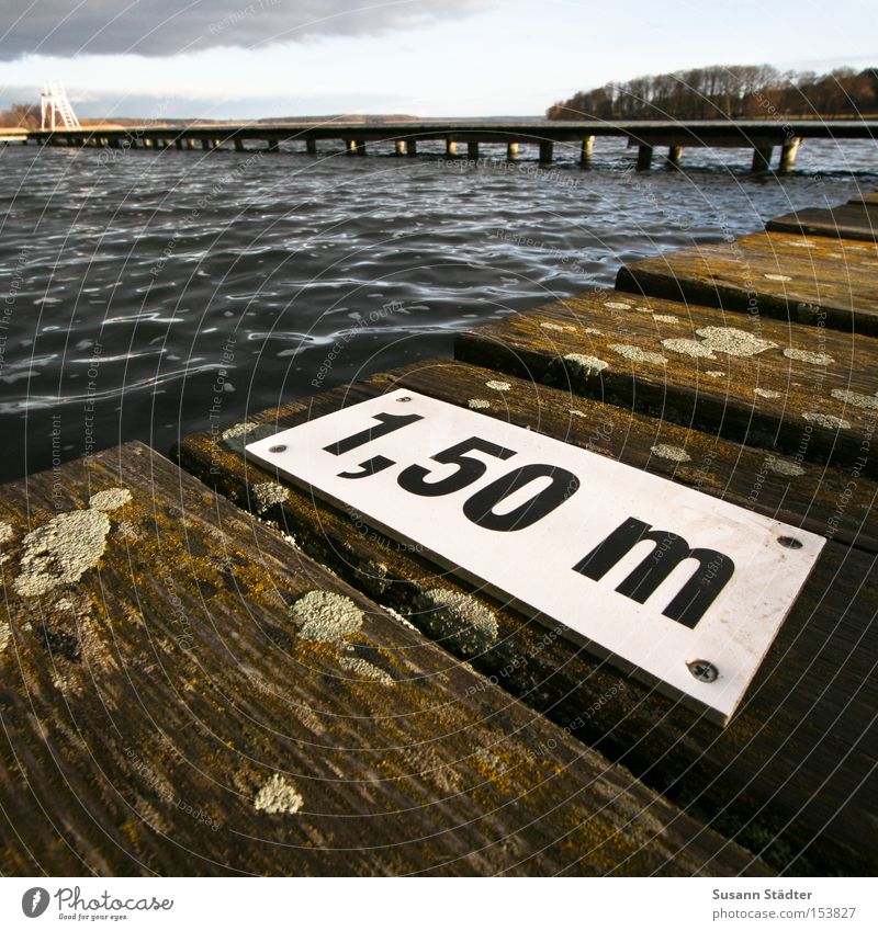 One Meter Fifty Dive Water Wood Footbridge Lake Dirty Bird droppings Deep Cold Wet Damp Fish Waves Swimming & Bathing