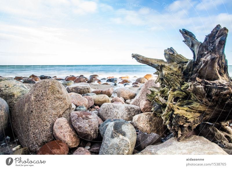 Baltic Nature Landscape Water Beautiful weather Baltic Sea Contentment Joie de vivre (Vitality) Attentive Patient Calm Colour photo Exterior shot Deserted Day