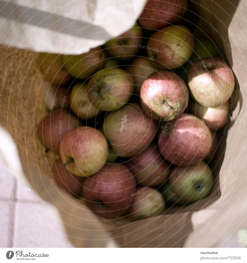 loud apples Apple Paper bag Fruit Cheek Tree Garden Harvest Ecological Ennoble Red Juicy Delicious Healthy Autumn Agriculture