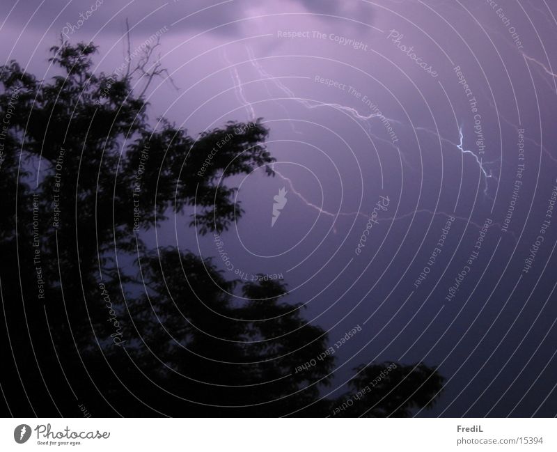 weather light Dark Lightning Tree Thunder and lightning Evening