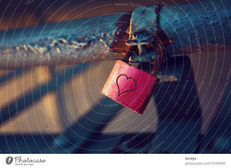 some love rusts Heart Lock Illuminate Authentic Simple Glittering Hip & trendy Kitsch Positive Gray Pink Joie de vivre (Vitality) Trust Safety Friendship