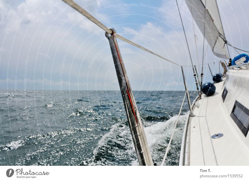 sail Happy Leisure and hobbies Sailing Spring North Sea Baltic Sea Ocean Navigation Yacht Sailboat Sailing ship Freedom Colour photo Exterior shot Deserted