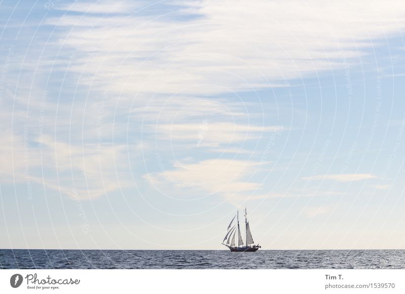 sail Baltic Sea Navigation Boating trip Yacht Sailboat Sailing ship Adventure Freedom Clouds Sky Mast Horizon Colour photo Exterior shot Deserted Day