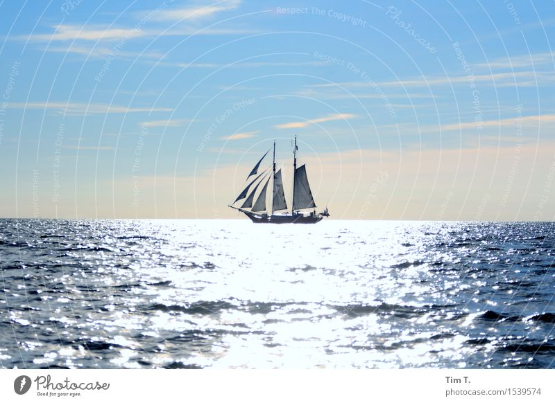 sailing Environment Nature Water Sky Summer Baltic Sea Ocean Navigation Boating trip Yacht Sailboat Sailing ship Freedom Colour photo Exterior shot