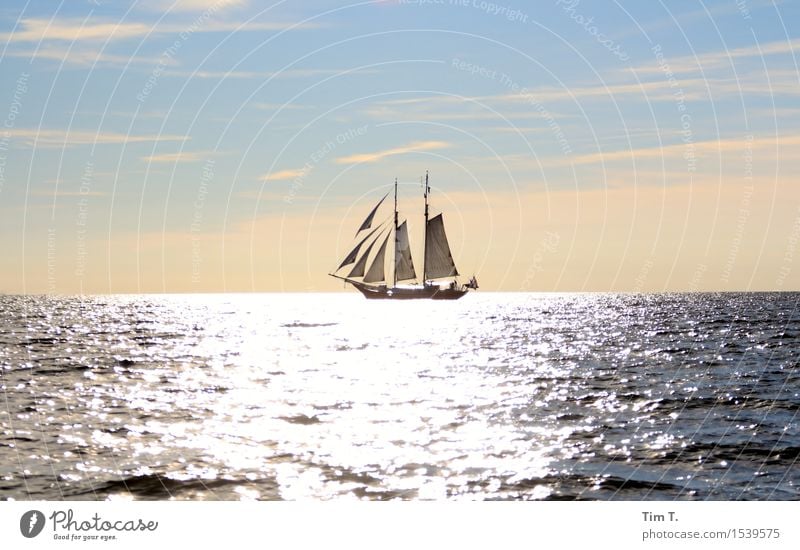 sail Environment Nature Landscape Water Sky Horizon Sun Sunrise Sunset Sunlight Summer Baltic Sea Ocean Navigation Boating trip Yacht Sailboat Sailing ship