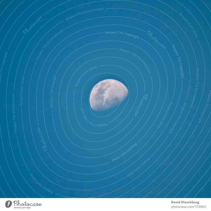 100% moon landing Moon Evening Sky Blue White Half moon Round Planet Universe Moon landing Contrast Zoom effect Decreasing Winter