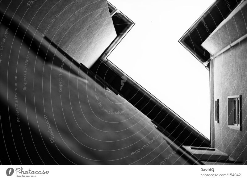 orthochromatic corner Corner Backyard Block Old building House (Residential Structure) Town house (City: Block of flats) Facade Window Tree Sky Detail