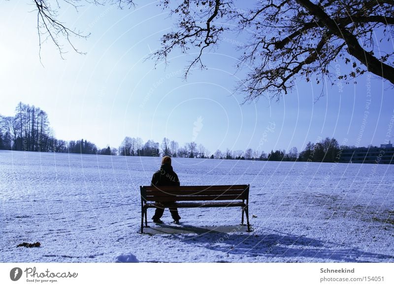 Just take a break Winter Break Sit Snowscape Landscape Sun Relaxation Bench Human being Vantage point Nature Sky Beautiful Perspective