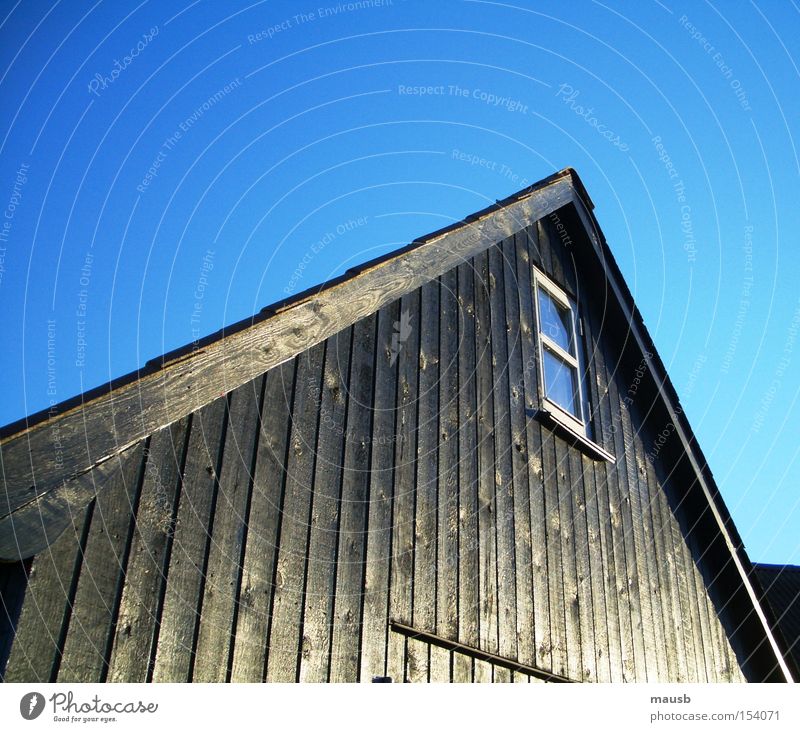 warm wood despite frost Boathouse Ebony Black Wood Blue sky Window Cold Winter Clarity