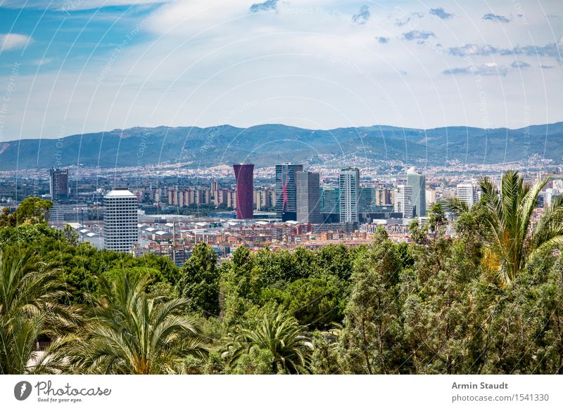 Panorama - Barcelona - Palms Lifestyle Luxury Style Vacation & Travel Tourism Far-off places Sightseeing City trip Summer vacation Environment Nature Sky Clouds