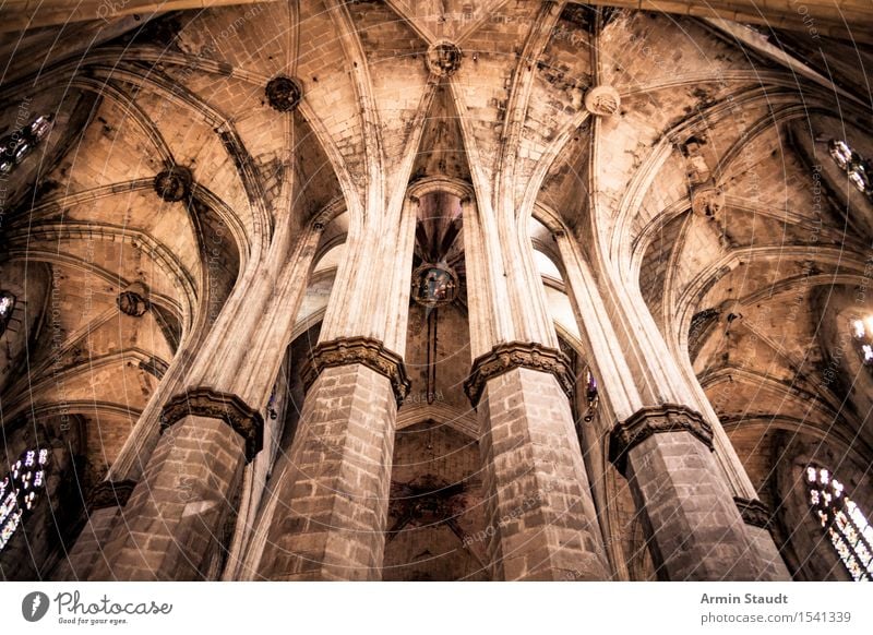 Cathedral - Columns Style Design Vacation & Travel Sightseeing Barcelona Church Dome chapters Tourist Attraction Old Esthetic Dark Large Historic Tall Cold