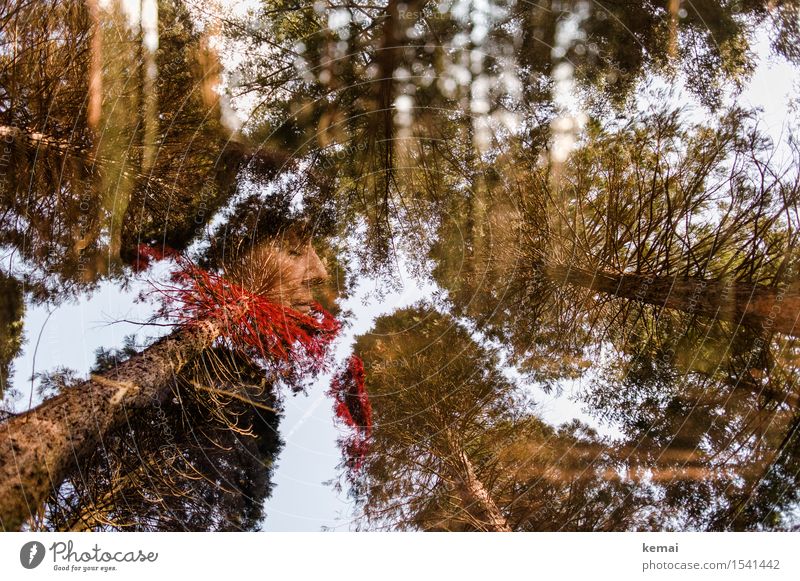 Woman and trees - double exposure Adventure Human being Feminine Adults Female senior Life Face 1 60 years and older Senior citizen Environment Nature Plant Sky