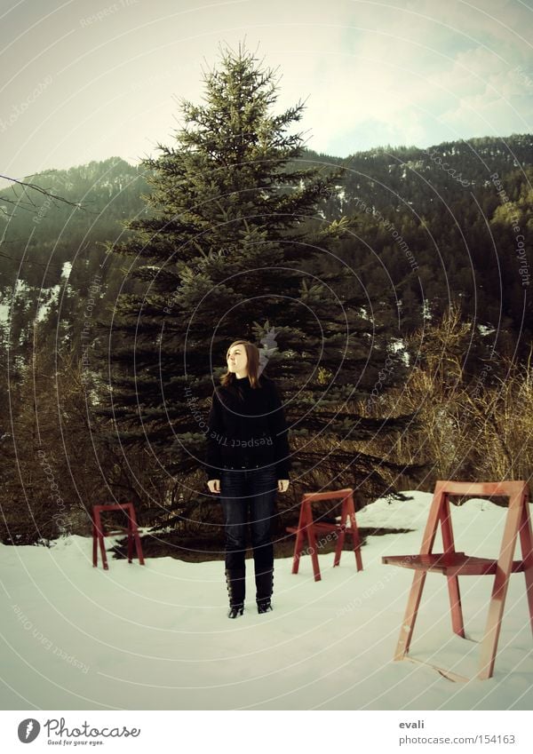 red chairs Red Chair Tree Winter Loneliness Woman snow