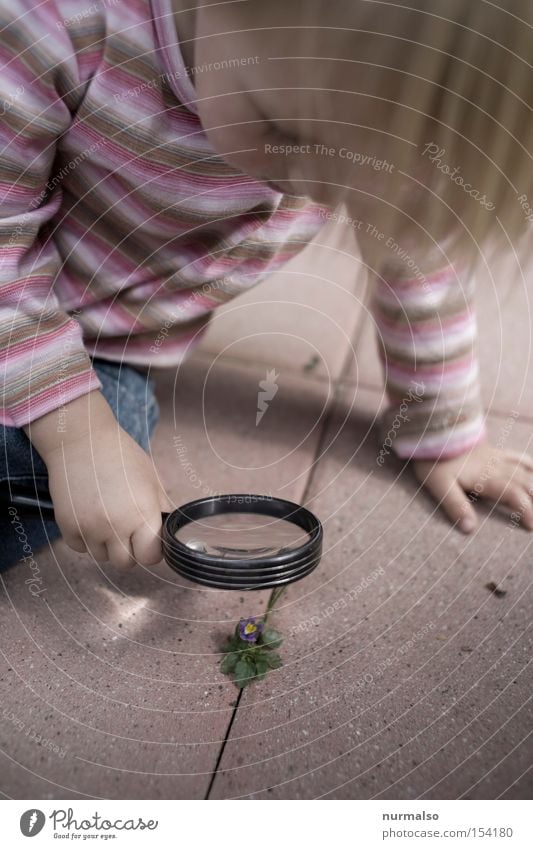 little adventurer Adventurer Discover Magnifying glass Glass Child Girl Curiosity Interest Joy Investigate Know Study Nature Education Enlarged