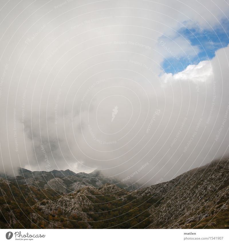 opaque Nature Landscape Air Sky Clouds Spring Autumn Weather Bad weather Fog Tree Grass Bushes Moss Rock Mountain Deserted Threat Blue Brown Green White