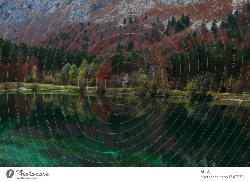 reflections Nature Landscape Water Autumn Tree Grass Bushes Forest Rock Mountain Lakeside Brown Gray Green Red Moody Colour photo Exterior shot Deserted Day