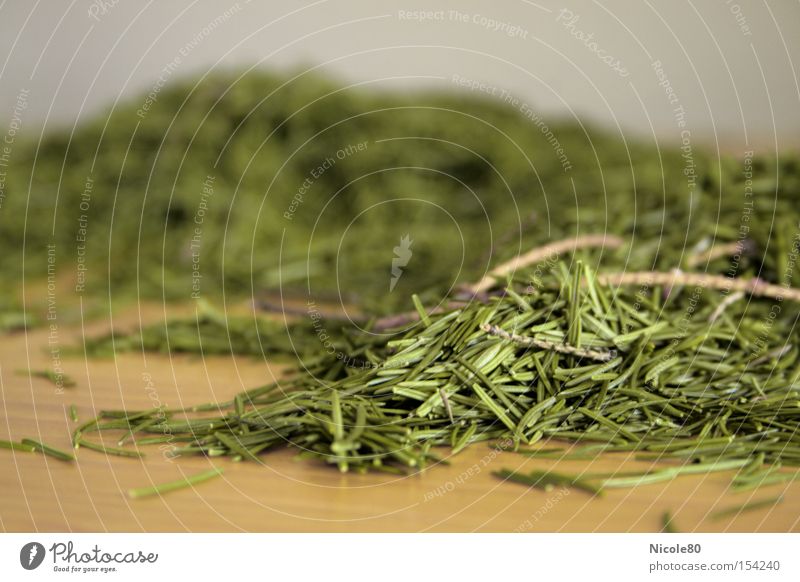 i used to be a christmas tree... Fir needle Macro (Extreme close-up) Biogradable waste spruce needles Green Christmas tree remains