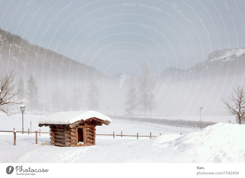 hut magic Landscape Sky Winter Fog Snow Tree Rock Mountain Hut Cold White Fence Wooden hut Colour photo Multicoloured Exterior shot Deserted Copy Space top