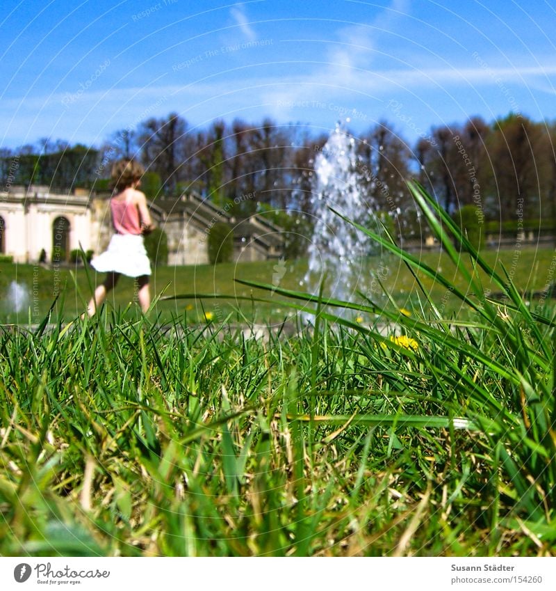 beetle perspective Meadow Water Summer Baroque Skirt Sky Beetle Animal Crawl Grass Earth Fountain Großsedlitz