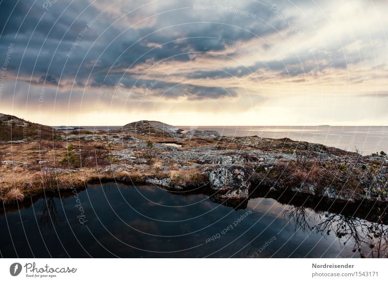 Evening atmosphere at the Atlantic Ocean Vacation & Travel Tourism Adventure Far-off places Nature Landscape Elements Water Sky Clouds Weather Grass Bushes Rock