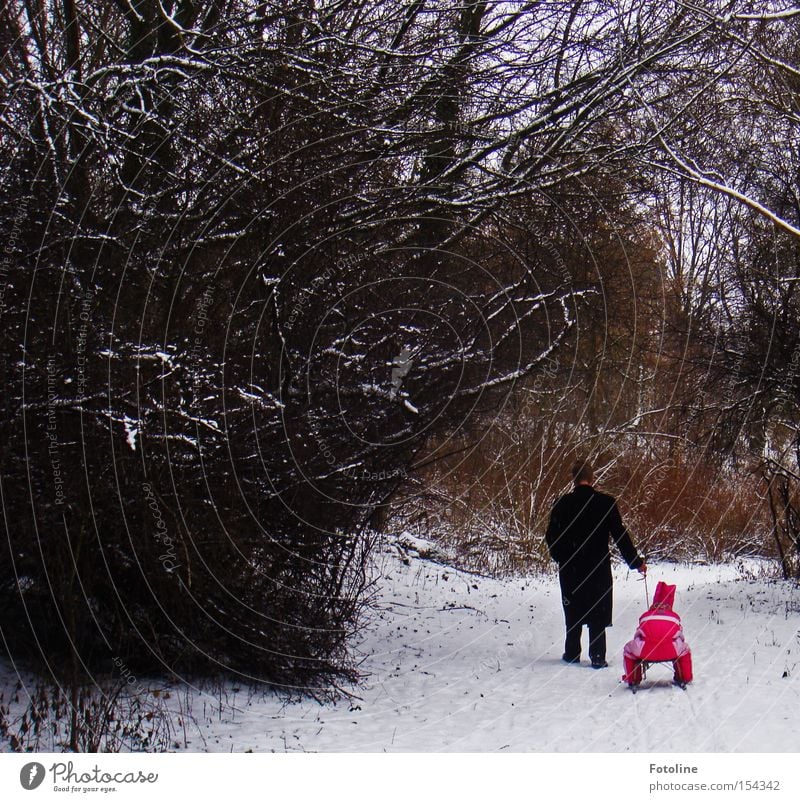 1, 2, 3, at the double Forest Winter Father Child Sleigh Snow Branch Man Girl Cold Tree Sledding Sledge Pull Footpath Promenade To go for a walk Red