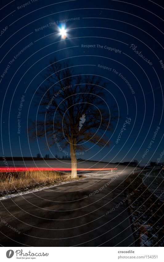 Moonlight V Field Agriculture Star (Symbol) Stars Night Winter Cold Romance Bavaria Frozen Motor vehicle Car headlights Tree Loneliness Rear light Long exposure