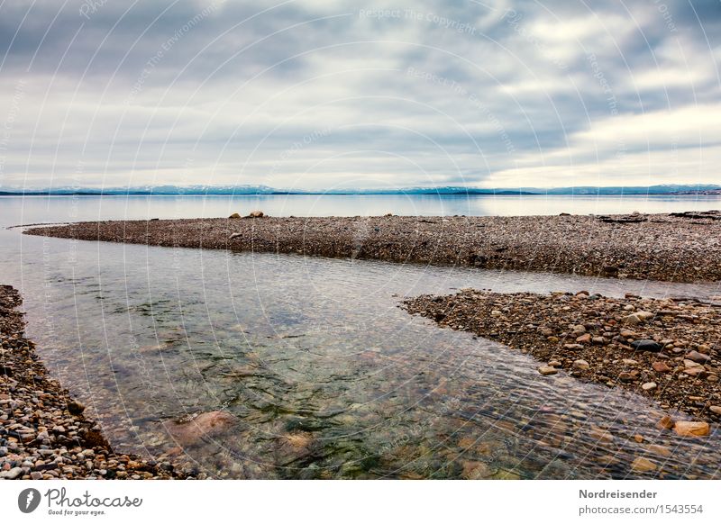 Porsangerfjord Far-off places Nature Landscape Elements Air Water Sky Clouds Climate Coast Fjord Ocean River Infinity Cold Longing Wanderlust Bizarre Pure Calm