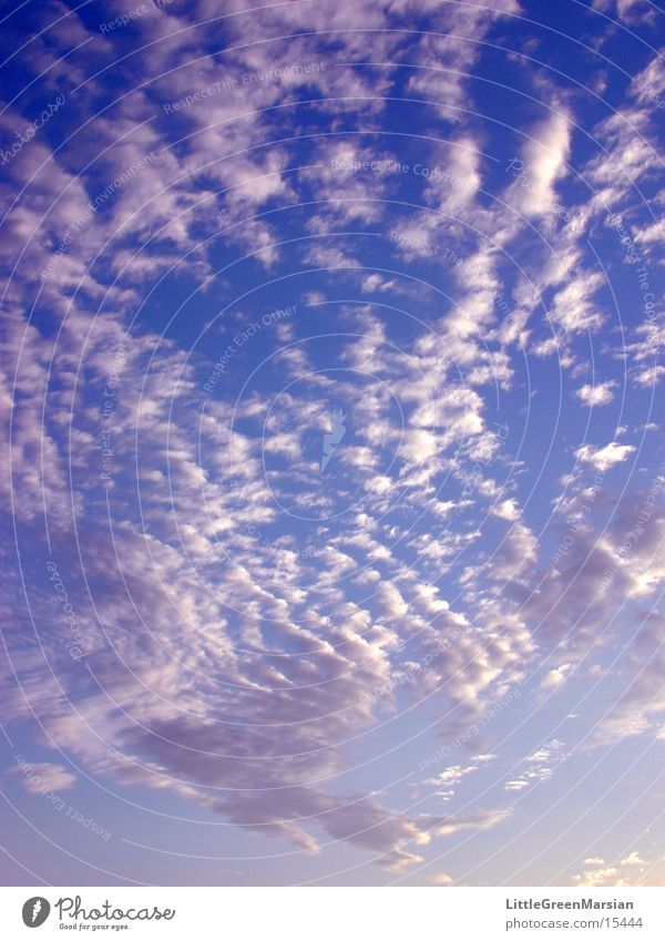 fleecy clouds Clouds Blue sky Sun