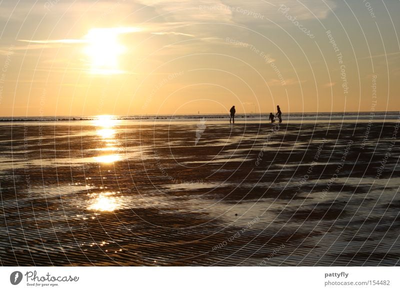 What are they doing there? Sunset Light Ocean North Sea Human being Family & Relations To go for a walk Cold Reflection Shadow Beach Coast