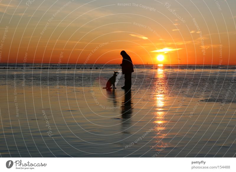 Sit! Sunset Light Ocean North Sea Human being Animal Dog Cold Reflection Beach Coast Celestial bodies and the universe Mud flats Ice