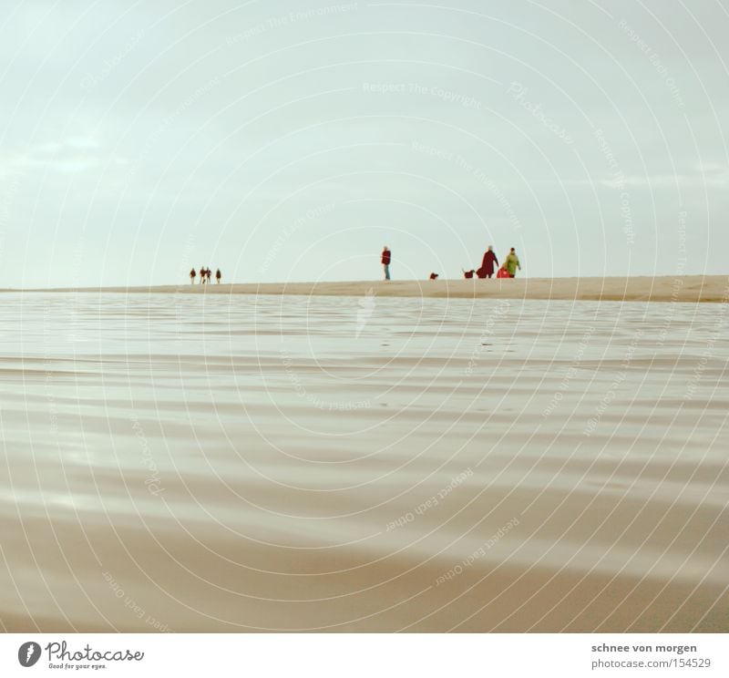 winter joys Human being Water Lake Ocean Island Beach Sand Sky Horizon Winter Perspective Cold Far-off places Man Coast Sylt Sandbank Dog Blue Waves