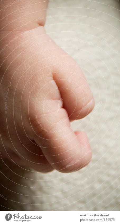 SMALL HAND Hand Fingers Diminutive Macro (Extreme close-up) Baby Child Suck Slaver Cute Fat Sweet Toddler Joy Beautiful